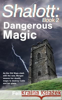 Shalott: Dangerous Magic Felicity Pulman 9781922389626 Holmes House Press - książka