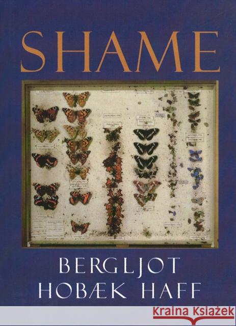 Shame Bergljot Haff, Sverre Lyngstad 9781846555633 Vintage Publishing - książka