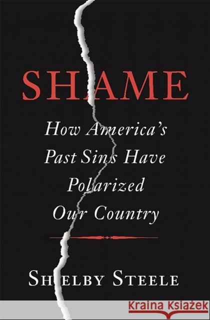Shame: How America's Past Sins Have Polarized Our Country Shelby Steele 9780465066971 Basic Books (AZ) - książka