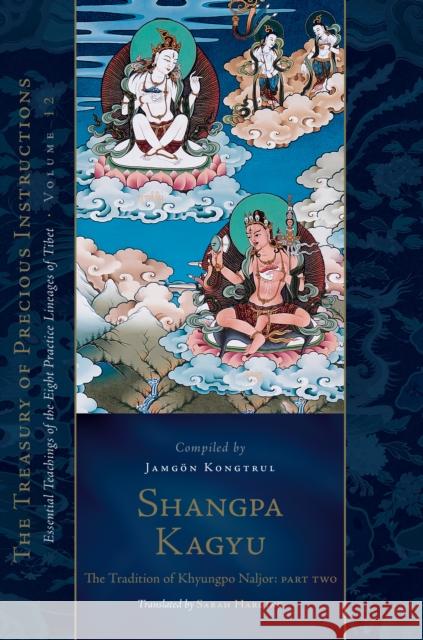 Shangpa Kagyu: The Tradition of Khyungpo Naljor, Part Two: Essential Teachings of the Eight Practice Lineages of Tibet, Volume 12 (The Treasury of Precious Instructions) Jamgon Kongtrul Lodro Taye 9781645472117 Shambhala Publications Inc - książka