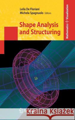 Shape Analysis and Structuring  9783540332640 SPRINGER-VERLAG BERLIN AND HEIDELBERG GMBH &  - książka