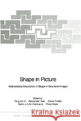 Shape in Picture: Mathematical Description of Shape in Grey-Level Images O, Ying-Lie 9783540575788 Springer - książka