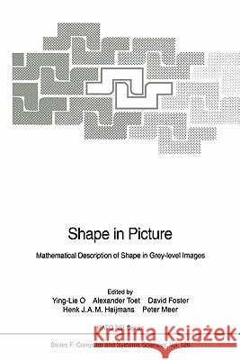 Shape in Picture: Mathematical Description of Shape in Grey-Level Images O, Ying-Lie 9783642081880 Springer - książka