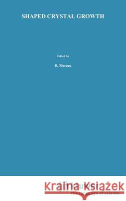 Shaped Crystal Growth V. A. Tatarchenko Y. a. Tatarchenko 9780792324195 Springer - książka