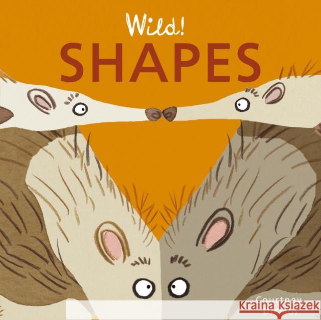 Shapes Courtney Dicmas Courtney Dicmas 9781846439940 Child's Play International - książka