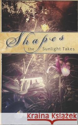 Shapes the Sunlight Takes Josh Wagner 9781682870136 Asymmetrical Press - książka