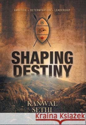 Shaping Destiny Kanwal Sethi 9781460293768 FriesenPress - książka