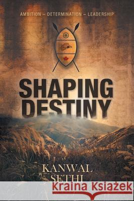 Shaping Destiny Kanwal Sethi 9781460293775 FriesenPress - książka