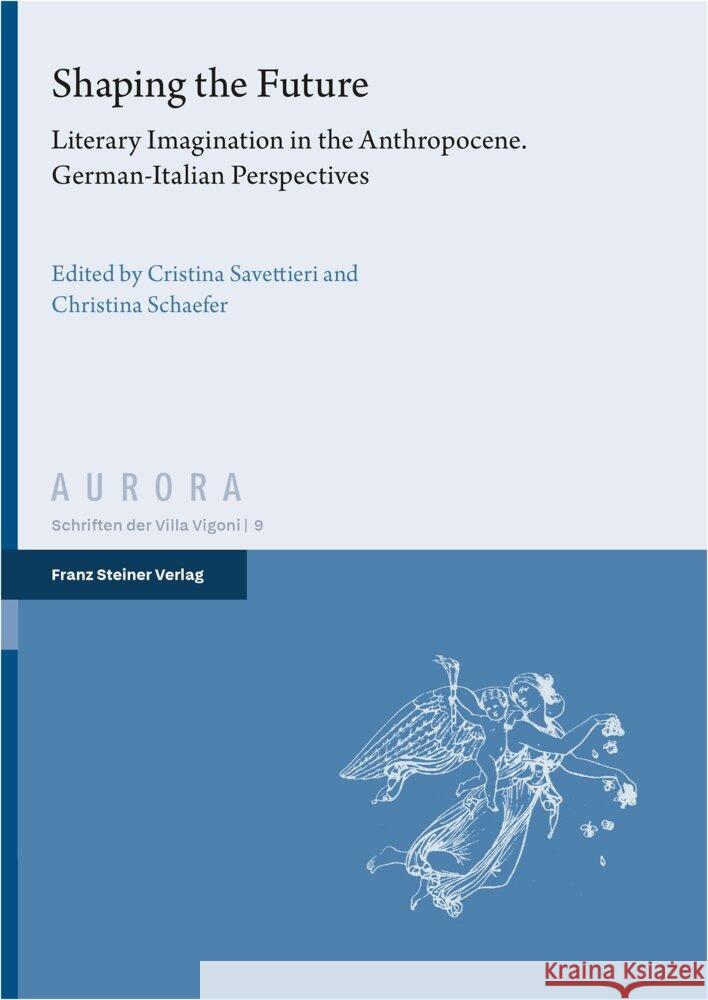 Shaping the Future  9783515139298 Franz Steiner Verlag - książka