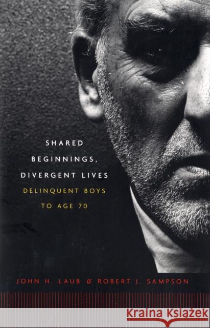 Shared Beginnings, Divergent Lives: Delinquent Boys to Age 70 Laub, John H. 9780674019935 Harvard University Press - książka