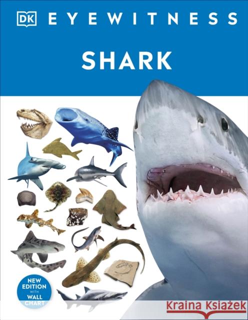 Shark DK 9780241553039 Dorling Kindersley Ltd - książka