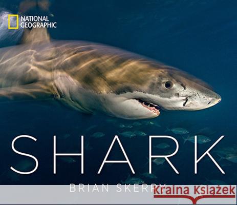 Shark Brian Skerry 9781426219108 National Geographic Society - książka