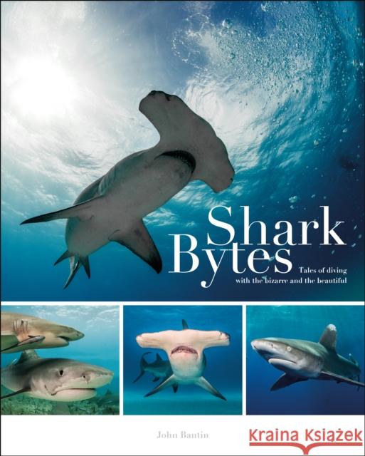 Shark Bytes: Tales of Diving with the Bizarre and the Beautiful Bantin, John 9781909911451 John Wiley & Sons - książka