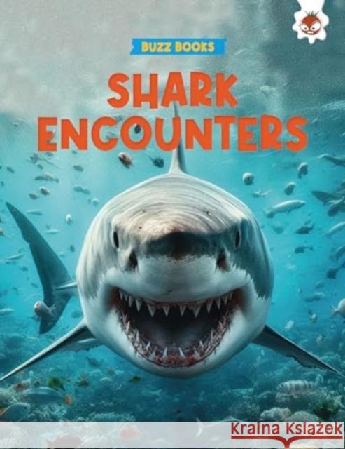 Shark Encounters Paul Stevenson 9781835691212 Hungry Tomato Ltd - książka