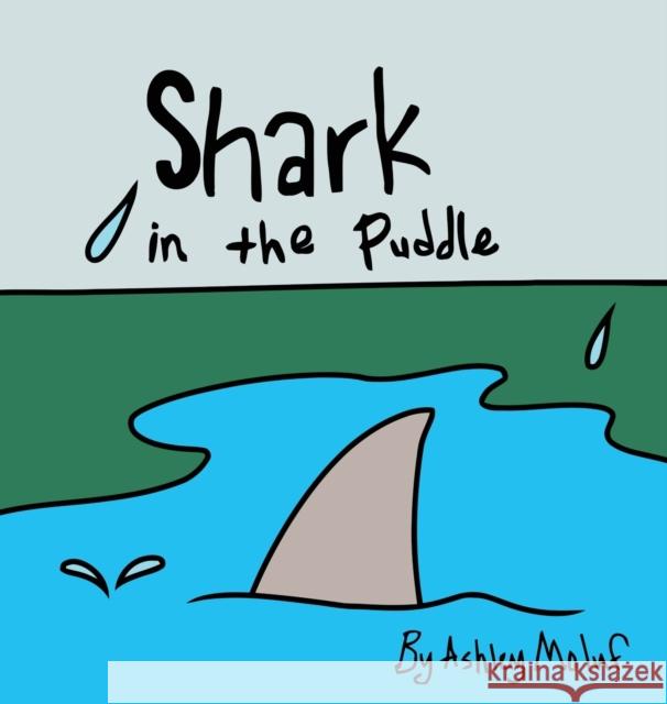Shark in the Puddle Ashley Moluf 9781649212788 Ashley Moluf - książka