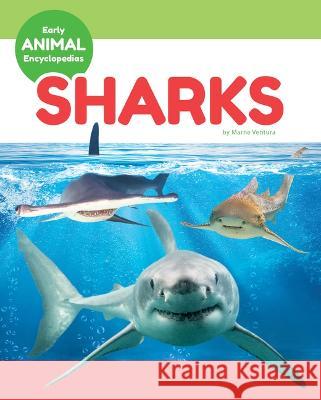 Sharks Marne Ventura 9781098290443 Early Encyclopedias - książka