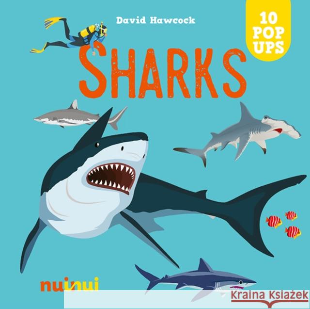 Sharks David Hawcock 9782889753994 nuinui - książka