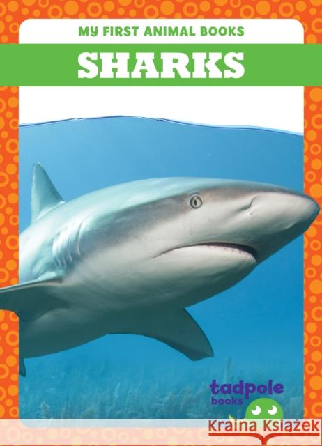 Sharks Natalie Deniston 9798889965862 Tadpole Books - książka