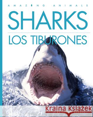 Sharks / Los Tiburones Valerie Bodden 9781682779750 Creative Paperbacks - książka