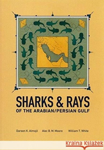 Sharks & Rays of the Arabian/Persian Gulf William Toby White 9780993042720 MBG Int Ltd - książka