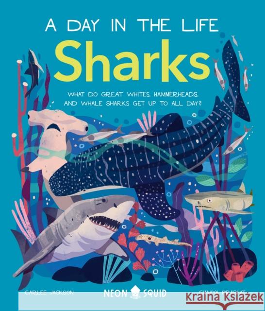 Sharks (a Day in the Life): What Do Great Whites, Hammerheads, and Whale Sharks Get Up to All Day? Neon Squid                               Carlee Jackson Chaaya Prabhat 9781684492190 Neon Squid Us - książka