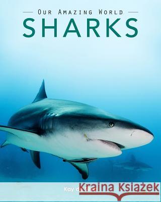 Sharks: Amazing Pictures & Fun Facts on Animals in Nature Kay D 9781519103758 Createspace - książka