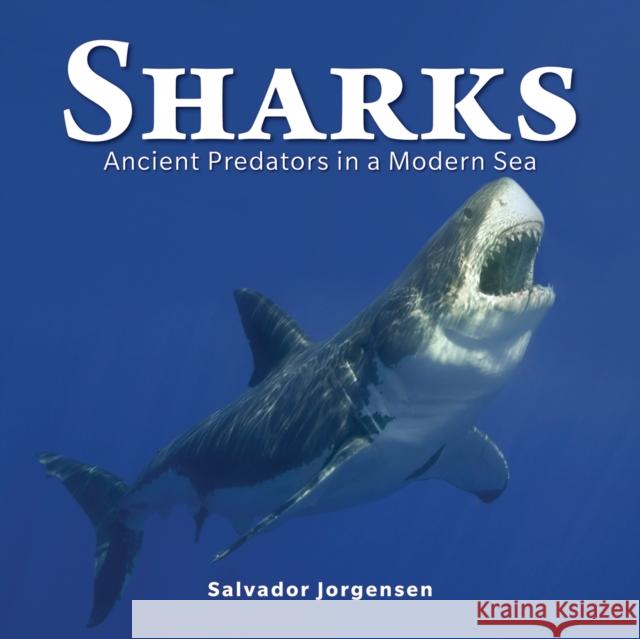 Sharks: Ancient Predators in a Modern Sea Salvador Jorgensen 9780228100805 Firefly Books - książka