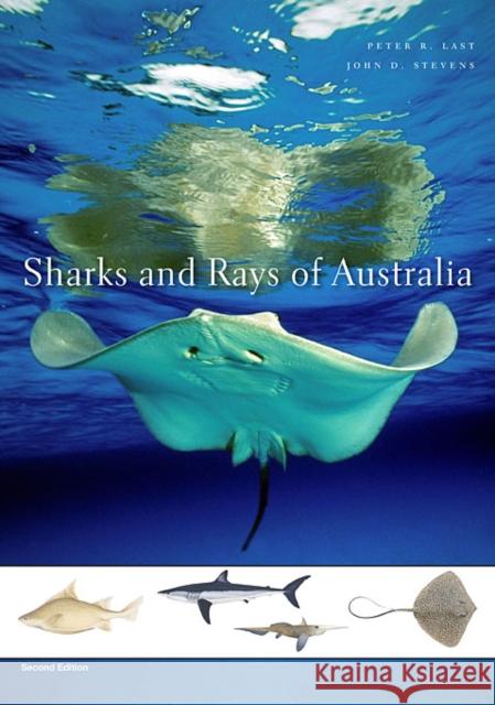 Sharks and Rays of Australia: Second Edition Last, Peter R. 9780674034112 Harvard University Press - książka