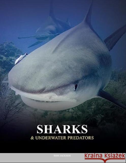 Sharks and Underwater Predators Tom Jackson 9781838863449 Amber Books Ltd - książka