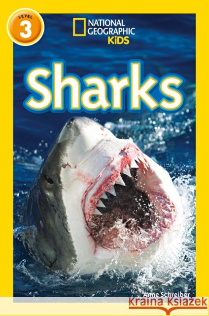 Sharks: Level 3 Schreiber, Anne 9780008266776 HarperCollins Publishers - książka