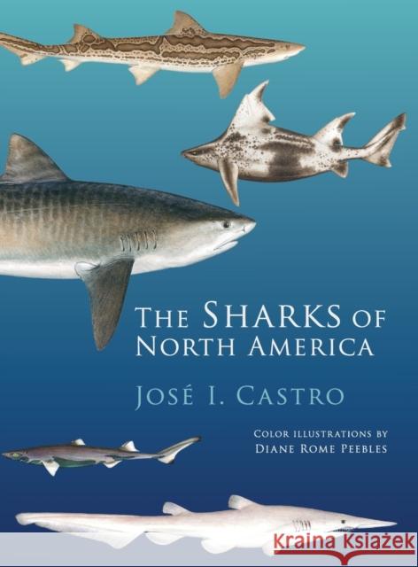 Sharks of North America Castro, Jose I. 9780195392944 Oxford University Press, USA - książka