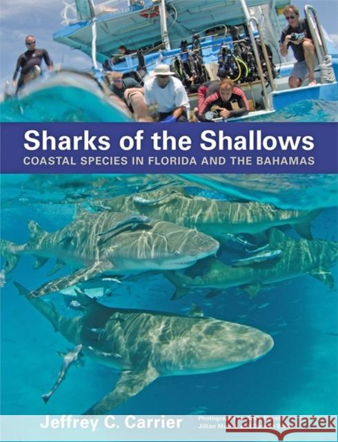 Sharks of the Shallows: Coastal Species in Florida and the Bahamas Carrier, Jeffrey C.; Murch, Andy; Morris, Jillian 9781421422947 John Wiley & Sons - książka