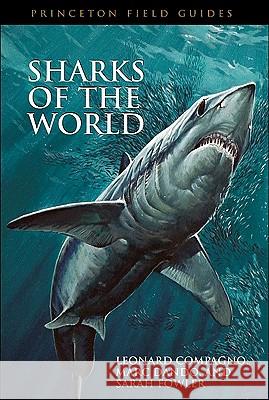 Sharks of the World Leonard Compagno Marc Dando Sarah Fowler 9780691120720 Princeton University Press - książka