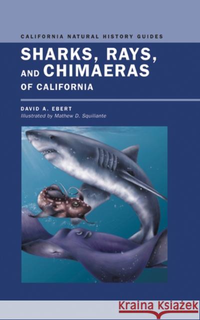 Sharks, Rays, and Chimaeras of California: Volume 71 Ebert, David 9780520234840 University of California Press - książka