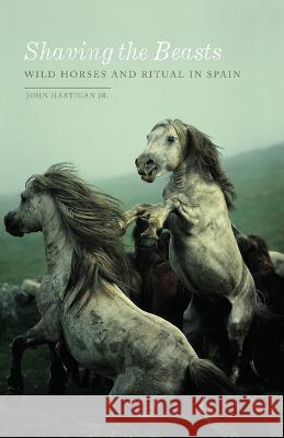 Shaving the Beasts : Wild Horses and Ritual in Spain John Hartiga 9781517904739 University of Minnesota Press - książka