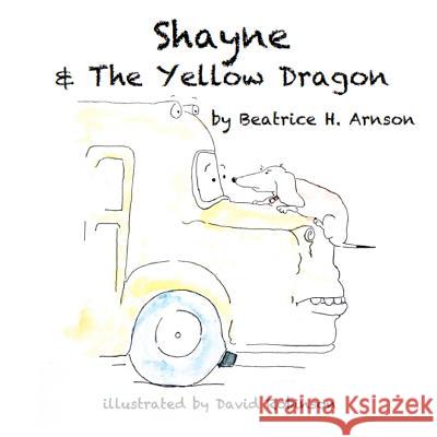 Shayne & The Yellow Dragon Robinson, David 9781514613009 Createspace - książka