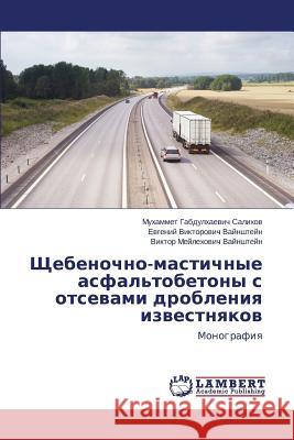 Shchebenochno-Mastichnye Asfal'tobetony S Otsevami Drobleniya Izvestnyakov Salikhov Mukhammet Gabdulkhaevich        Vaynshteyn Evgeniy Viktorovich 9783659497384 LAP Lambert Academic Publishing - książka