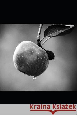 She who was Eleonore Inigo Montoya 9798840175767 Independently Published - książka