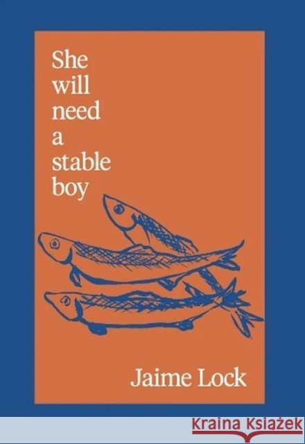 She will need a stable boy Jaime Lock 9781068495151 Fourteen Publishing - książka