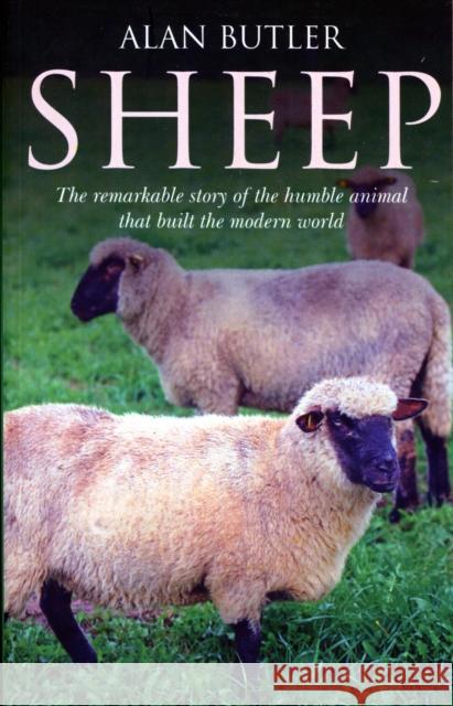 Sheep – The remarkable story of the humble animal that built the modern world. Alan Butler 9781846943812 Collective Ink - książka