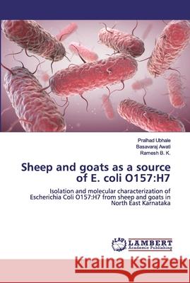 Sheep and goats as a source of E. coli O157: H7 Ubhale, Pralhad 9786200302434 LAP Lambert Academic Publishing - książka