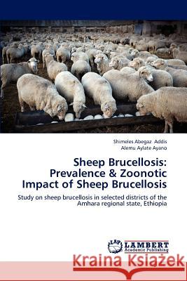 Sheep Brucellosis: Prevalence & Zoonotic Impact of Sheep Brucellosis Addis Shimeles Abegaz 9783659286384 LAP Lambert Academic Publishing - książka