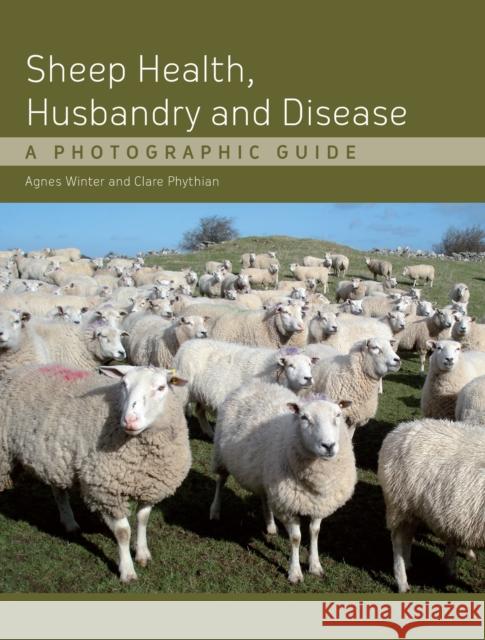 Sheep Health, Husbandry and Disease: A Photographic Guide Agnes C Winter 9781847972354 The Crowood Press Ltd - książka