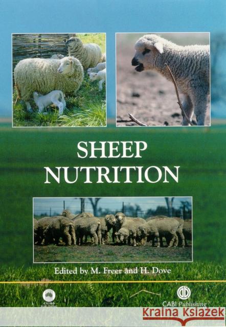 Sheep Nutrition M. Freer H. Dove 9780851995953 CABI Publishing - książka