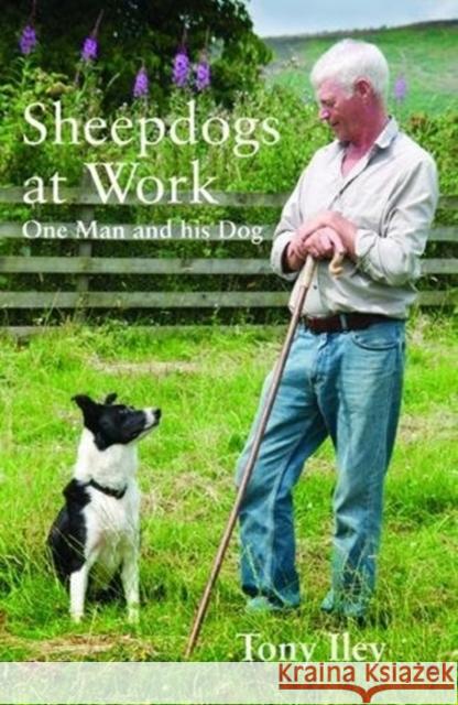 Sheepdogs at Work: One Man and His Dog Tony Iley 9780857160201 McNidder & Grace - książka