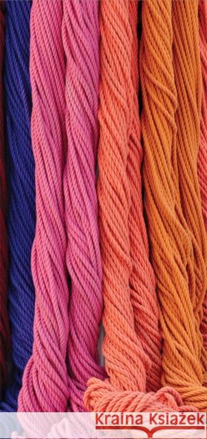 Sheila Hicks: Radical Vertical Inquiries  9781636811499 Distributed Art Publishers - książka