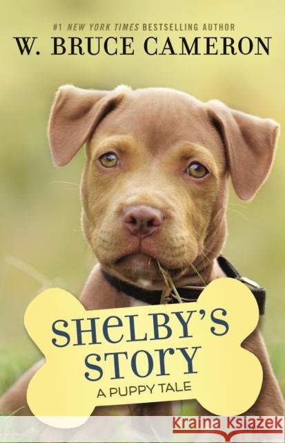 Shelby's Story: A Dog's Way Home Tale W. Bruce Cameron 9781250301932 Tor Publishing Group - książka