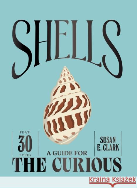 Shells Susan E. Clark 9781837836956 Quadrille Publishing Ltd - książka
