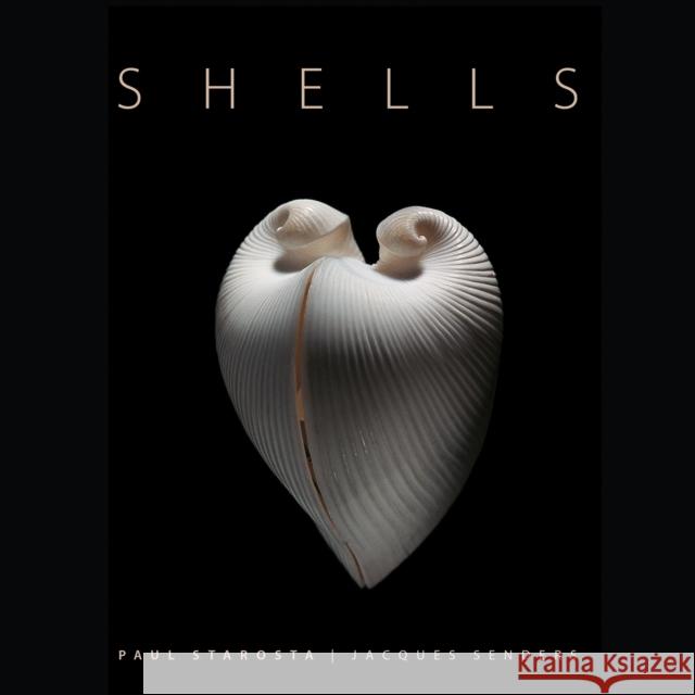 Shells Jacques Senders 9791254600825 Five Continents Editions - książka