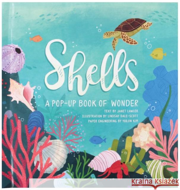 Shells: A Pop-Up Book of Wonder Janet Lawler Lindsay Dale-Scott Yoojin Kim 9781623485269 Jumping Jack Press - książka